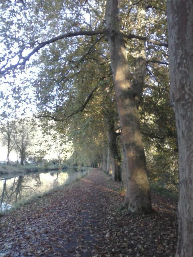 Gite 3 Etoiles "Entre Sources Et Riviere" Besancon Vaire-le-Grand Bagian luar foto